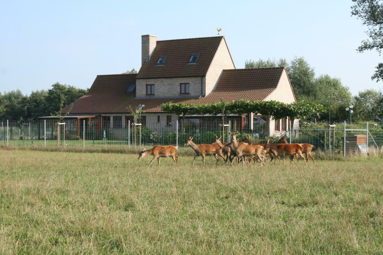 'T Leeg Huys Lo-Reninge Exterior foto
